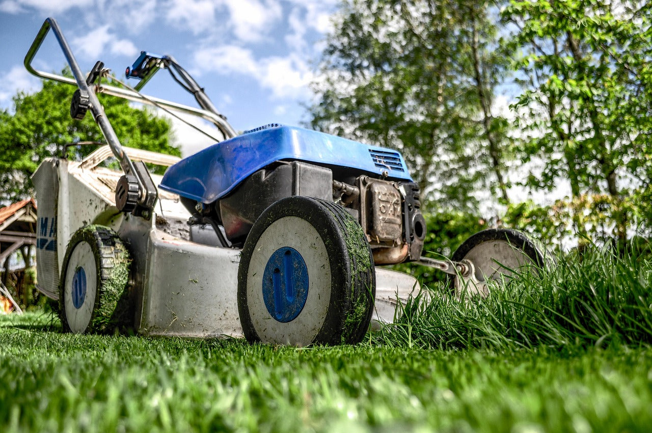 Lawn & Garden